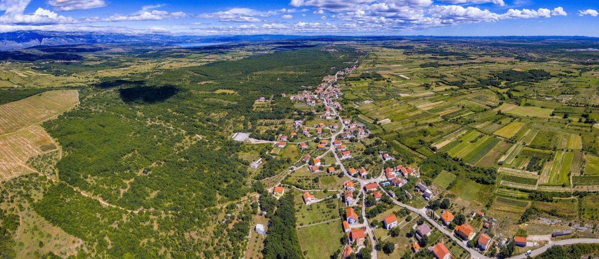 Brisevo