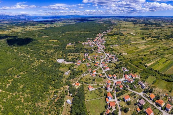 Brisevo